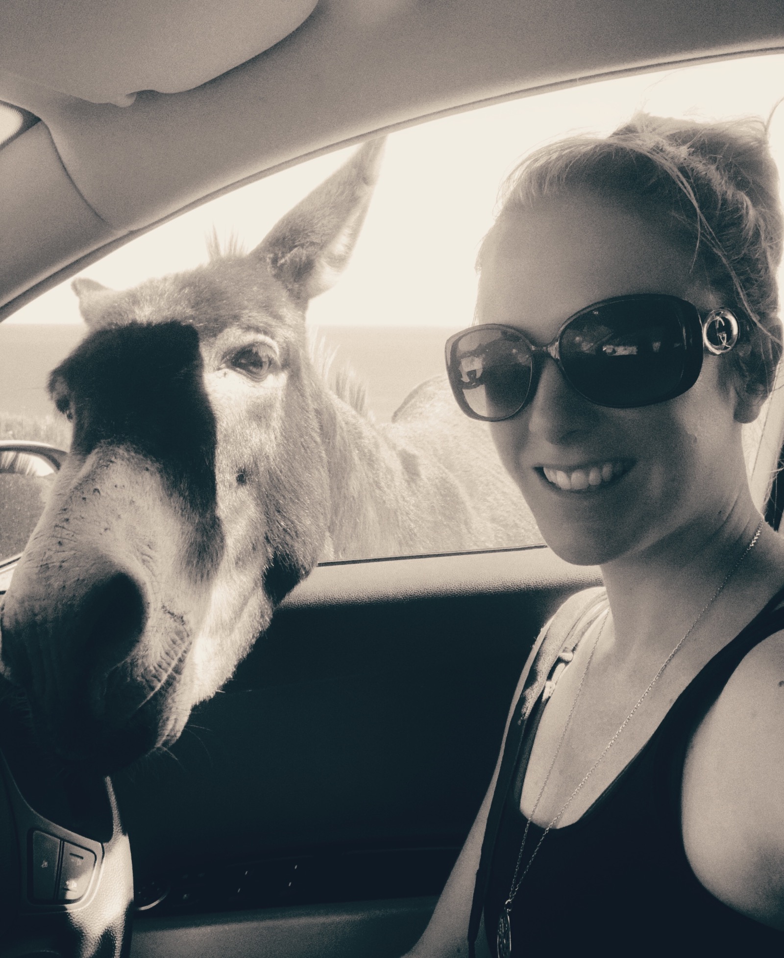 Black and white photo of woman with donkey leaning in through car window in north Cyprus, Karpaz