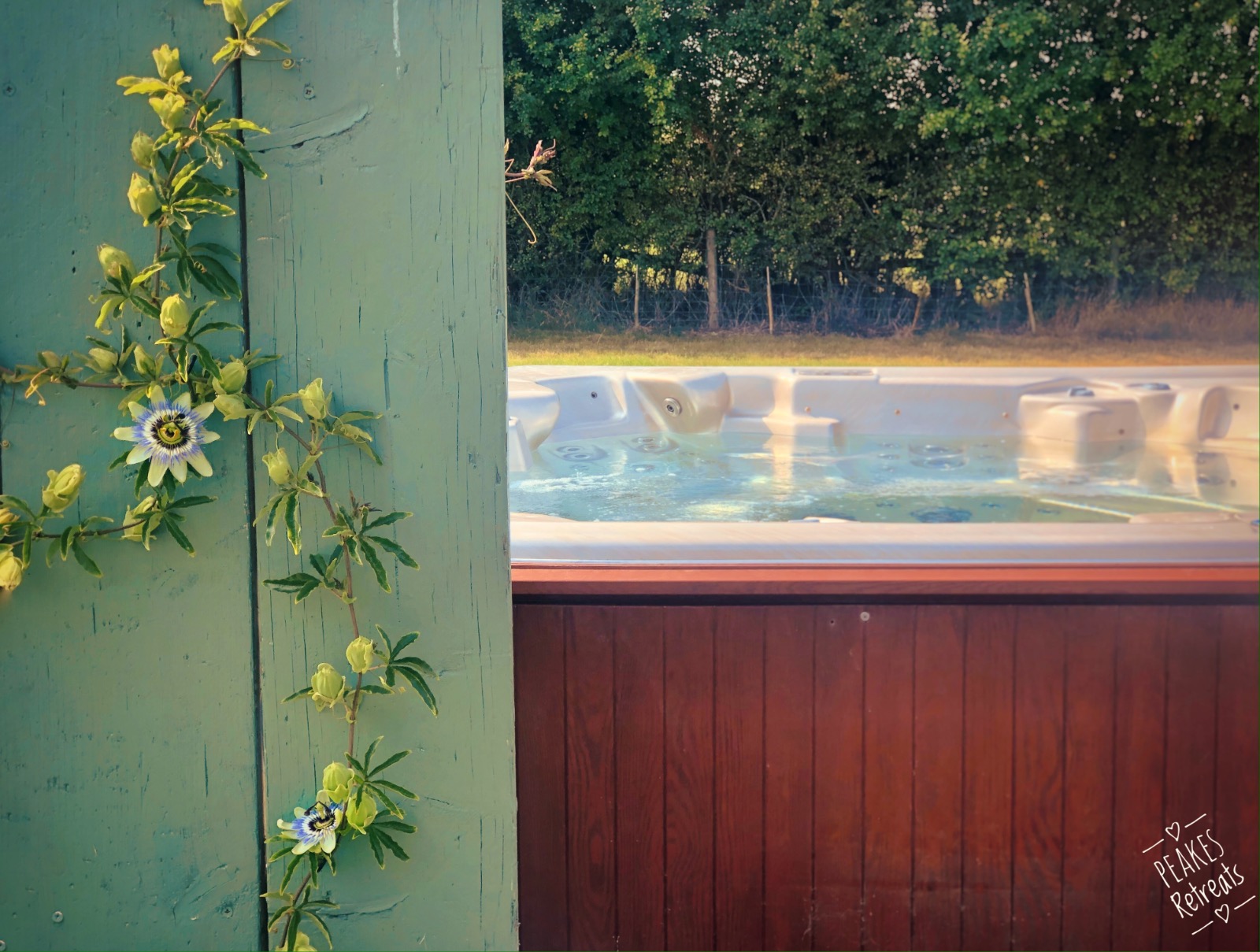 Hot tub with beautiful passionflower plant