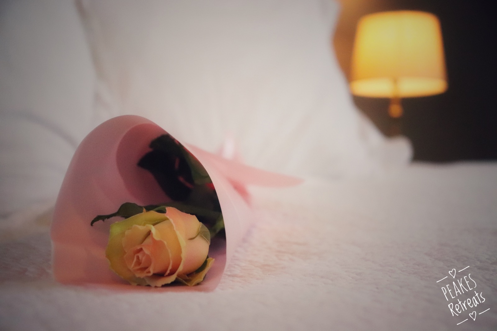 valentine's getaway for couples, rose on bed