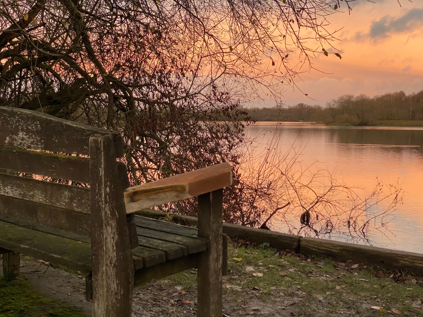 Bench next to lake at sunset